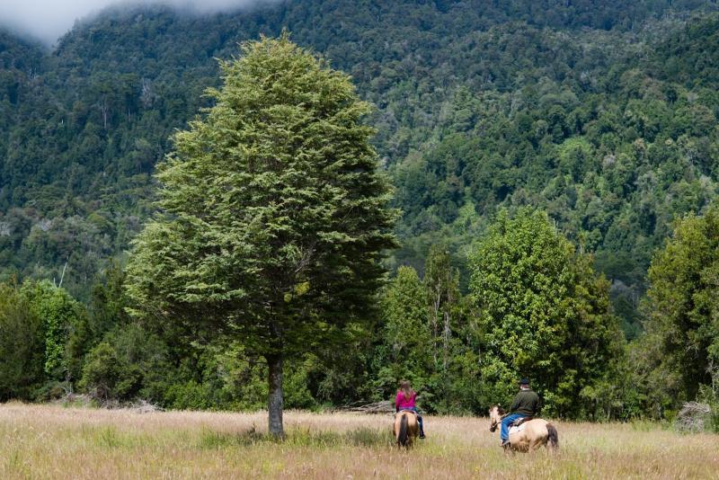 Yelcho En La Patagonia Ξενοδοχείο Coyhaique Εξωτερικό φωτογραφία